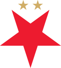 Týmové logo